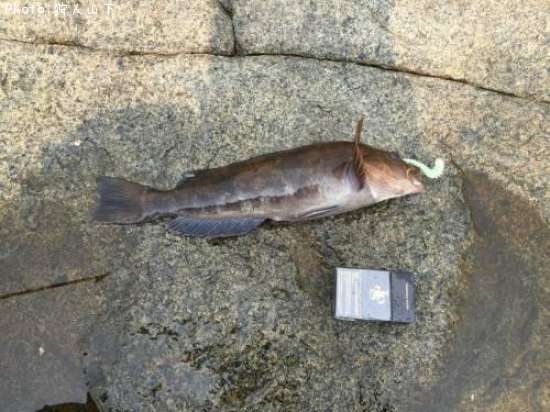 �����ʥ�