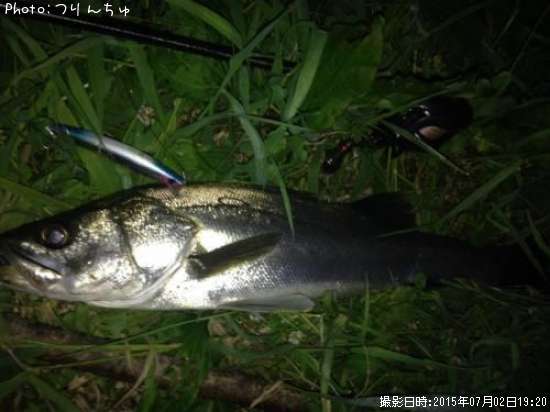 �����Х�