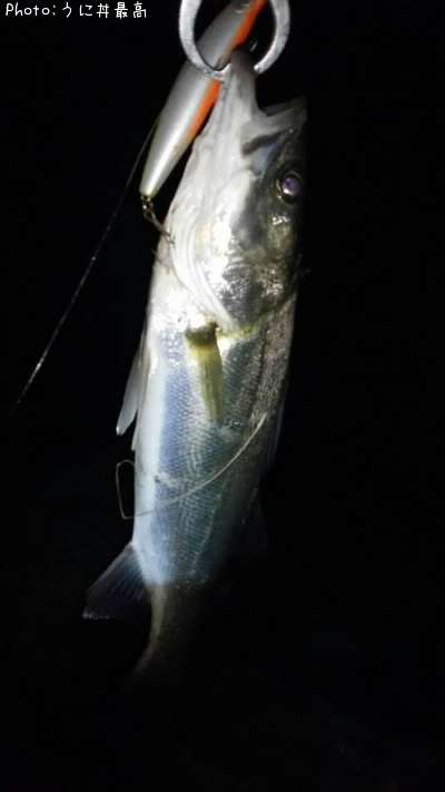 �����Х�