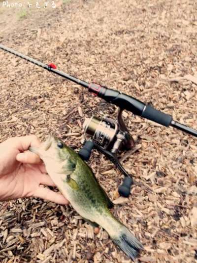 �֥�å��Х�