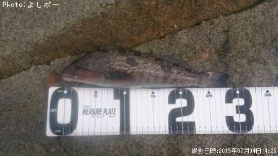 �����ʥ�