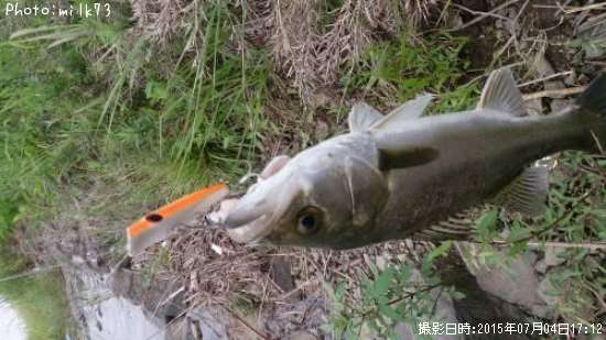 �����Х�