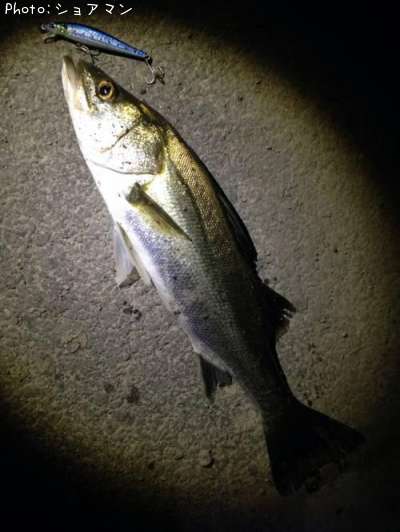 �����Х�