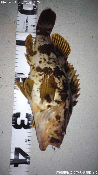 �����Υ���Х�