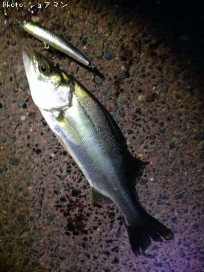 �����Х�