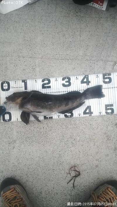 �����ʥ�