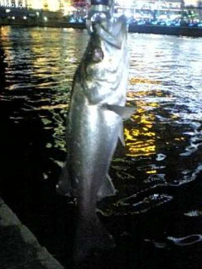 �ӣ��£���