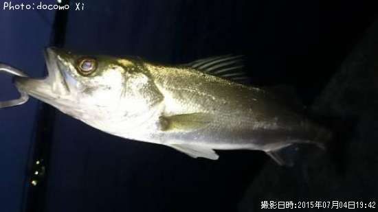 �����Х�