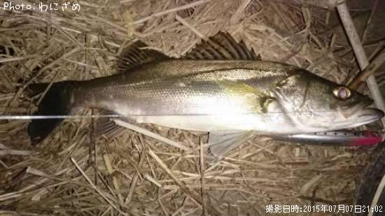 �����Х�