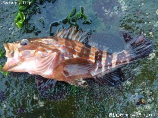 �����ϥ�