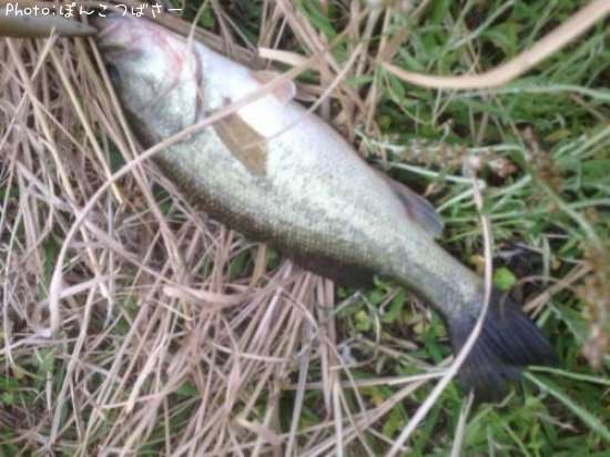 �֥�å��Х�