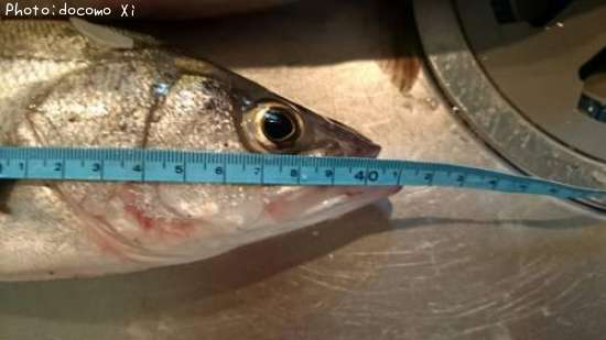 �����Х�