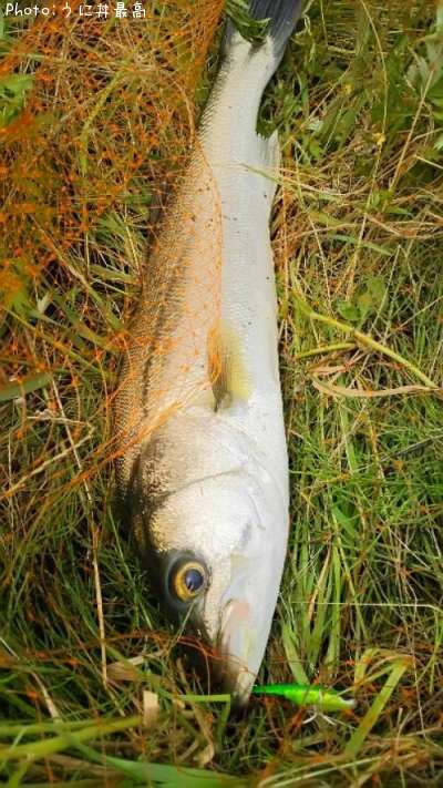 �����Х�