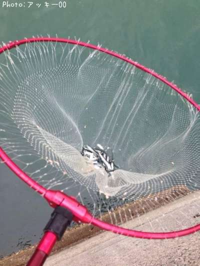 �����������亮