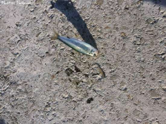 ���Υ���