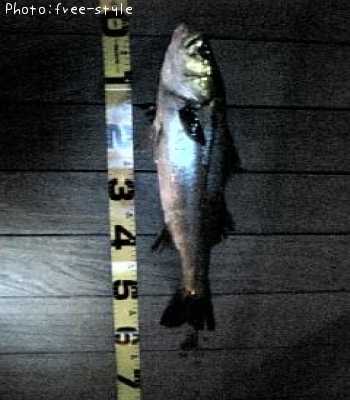 �ӣ��£���