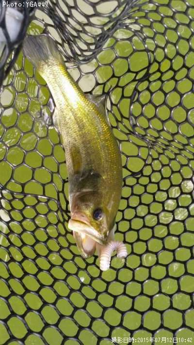 �֥�å��Х�