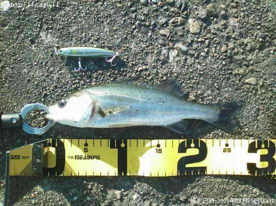 �����Х�