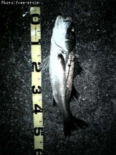 �ӣ��£���