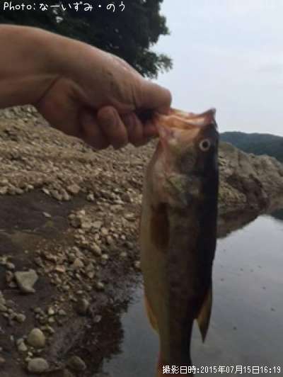 �֥�å��Х�