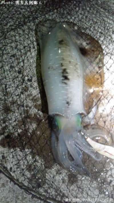 �����ꥤ��