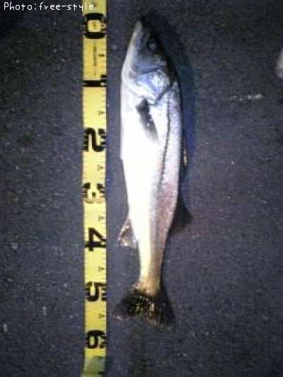 �ӣ��£���