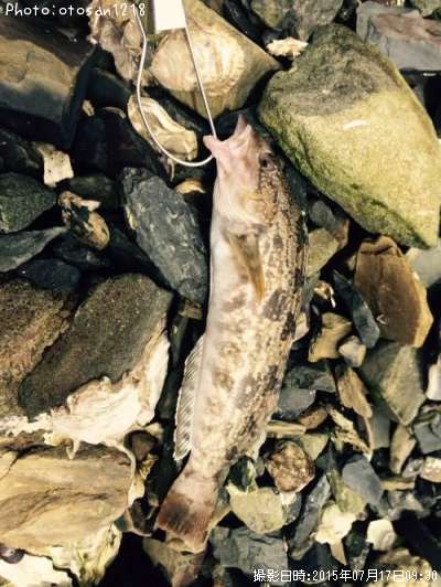 �����ʥ�