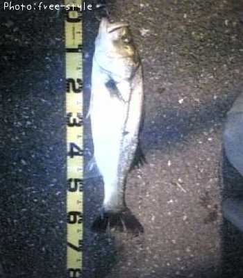 �ӣ��£���