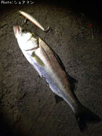 �����Х�