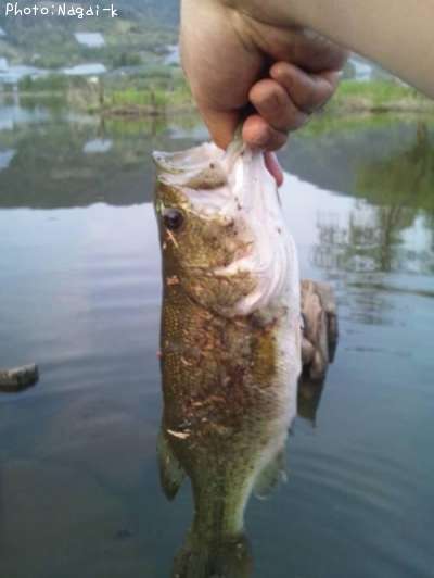 �֥�å��Х�