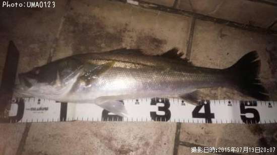 �����Х�