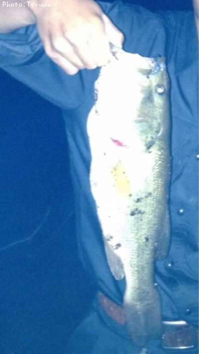 �֥�å��Х�