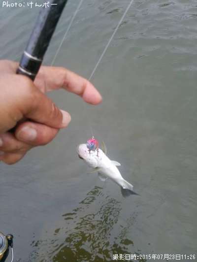 �����Х�