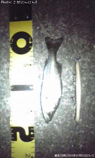 �����Х�