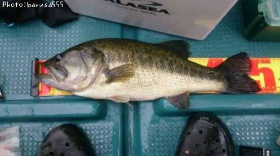 �֥�å��Х�