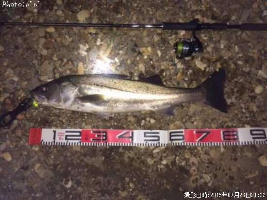 �����Х�