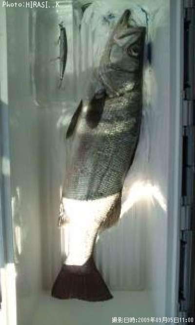 �ҥ饹����