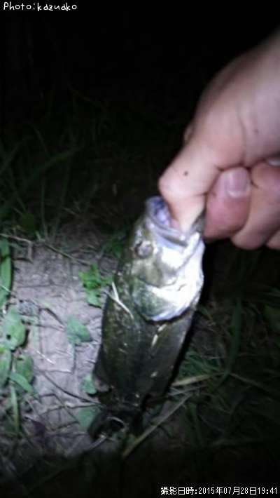 �֥�å��Х�