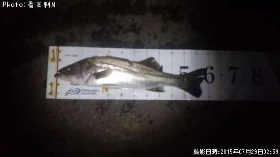 �����Х�