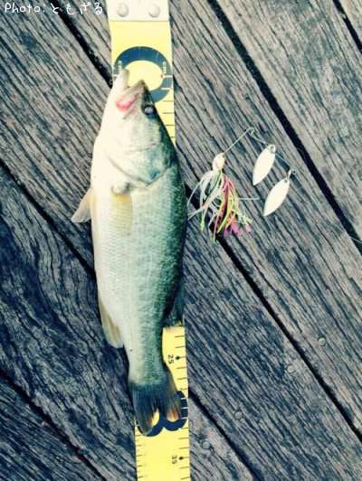 �֥�å��Х�