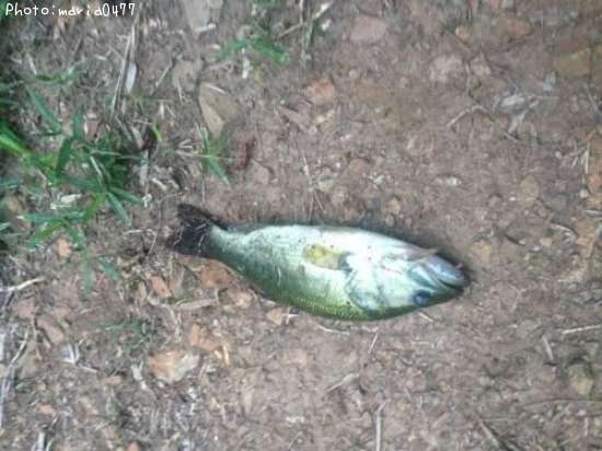 �֥�å��Х�