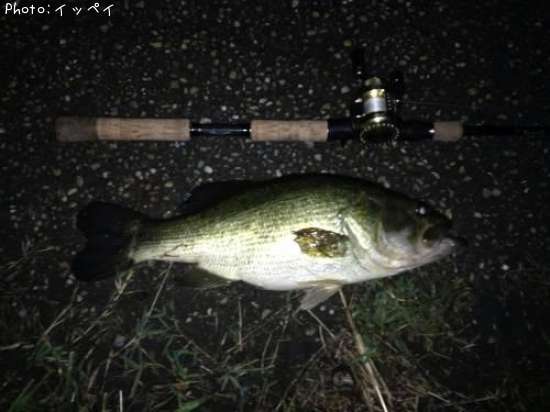 �֥�å��Х�