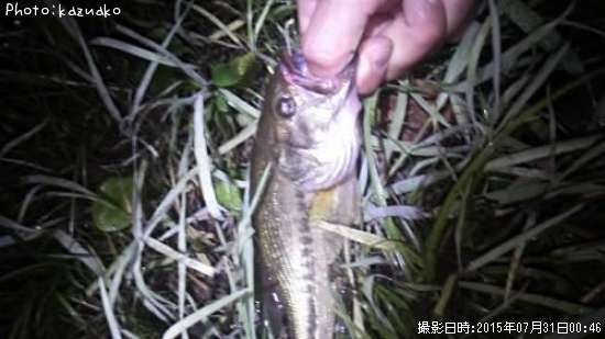 �֥�å��Х�