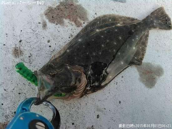 �ҥ��ʥ�����