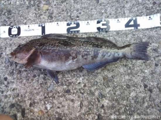 �����ʥ�