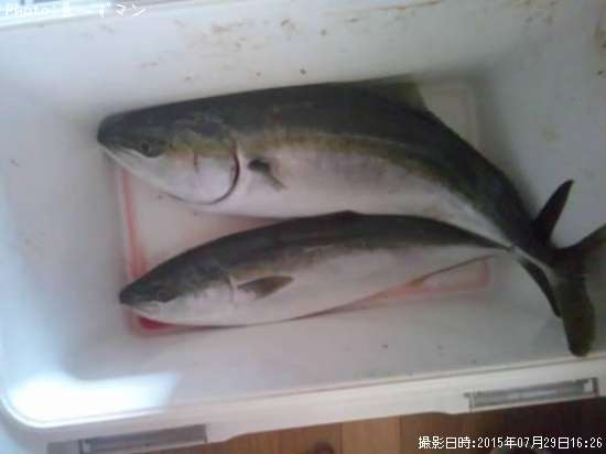 ��饵�ȥҥ��