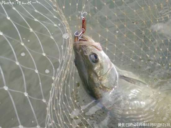 �����Х�