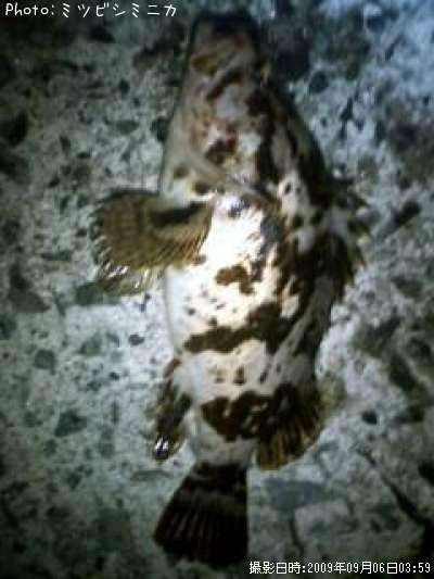 �����Υ���Х�