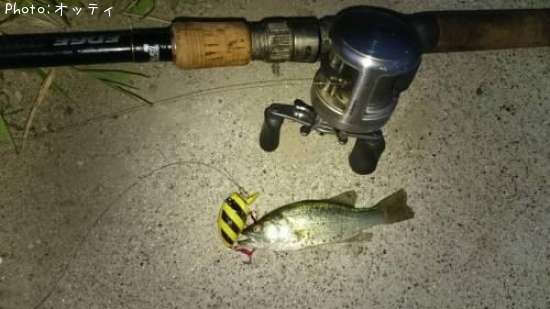 �֥�å��Х�