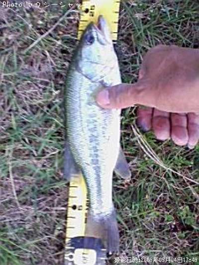 �֥�å��Х�